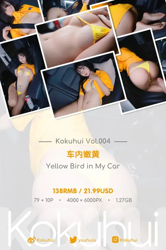 车内嫩黄 Yellow Bird in My Car - yuuhui玉汇